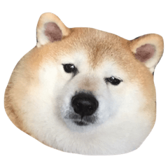 [LINEスタンプ] Super Star Fat Baby