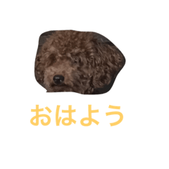 [LINEスタンプ] RIO Wordの画像（メイン）