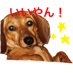 [LINEスタンプ] ダグたち4