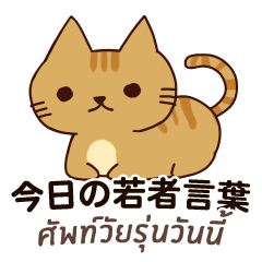 [LINEスタンプ] 猫 : 今日の若者言葉