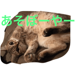 [LINEスタンプ] オティークちゃま