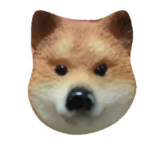 [LINEスタンプ] たまとたもの日常