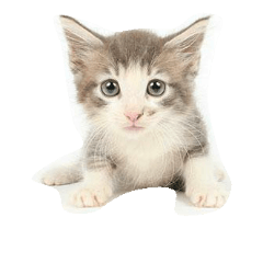 [LINEスタンプ] lent.lent.