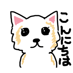 [LINEスタンプ] 毎日使えるチワワの挨拶ゆる〜い手描き編