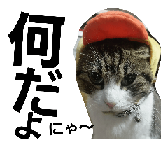 [LINEスタンプ] Cat cocochan
