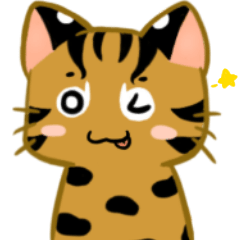 [LINEスタンプ] watch out for rock cat