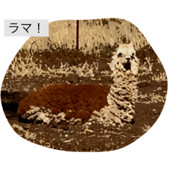 [LINEスタンプ] land of animals