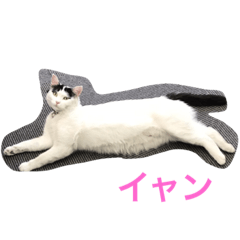 [LINEスタンプ] モリタ リン2