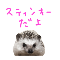 [LINEスタンプ] ハリネズミのスティンキー