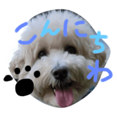 [LINEスタンプ] りっちともっち