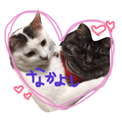 [LINEスタンプ] ドラとノビ