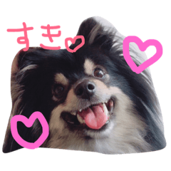 [LINEスタンプ] うちのまろんちゃん