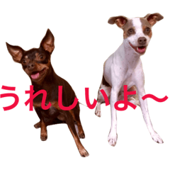 [LINEスタンプ] NiCop