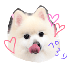 [LINEスタンプ] やぁさん