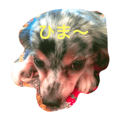 [LINEスタンプ] Buri＆417