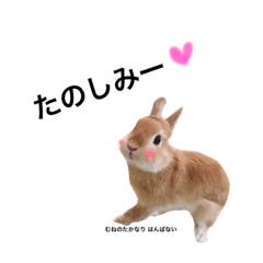 [LINEスタンプ] ムギと365。