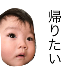 [LINEスタンプ] 蓮くんの日常