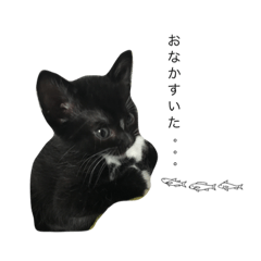 [LINEスタンプ] ひまりとりんの画像（メイン）