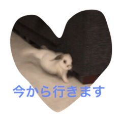 [LINEスタンプ] りんご②