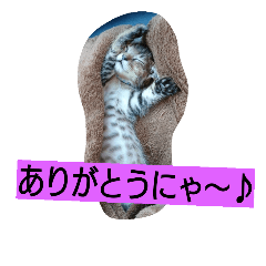 [LINEスタンプ] 日常生活1024