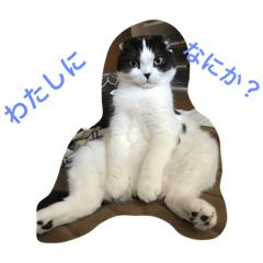 [LINEスタンプ] のたお