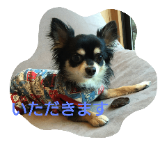 [LINEスタンプ] ちゃま2