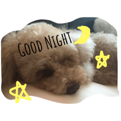 [LINEスタンプ] もこもここ