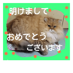 [LINEスタンプ] 毎日使う言葉2