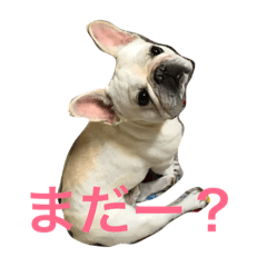 [LINEスタンプ] レオンさん