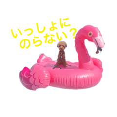 [LINEスタンプ] トイプードルジルの  使えるお返事 パート9