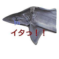 [LINEスタンプ] 鮮魚のつぶやき