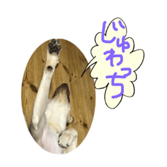 [LINEスタンプ] らぶ・ライト 其の2