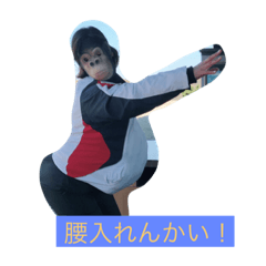 [LINEスタンプ] osakaizumi 1