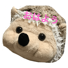 [LINEスタンプ] 大好きハリネズミ