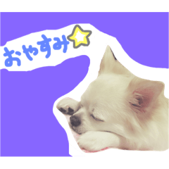 [LINEスタンプ] 世界一のテミンくん