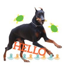 [LINEスタンプ] dobermann.80