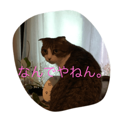 [LINEスタンプ] Carl talks...