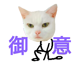 [LINEスタンプ] アメショの、 みるく