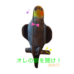 [LINEスタンプ] あずあいのスタンプ
