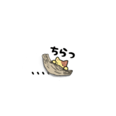 [LINEスタンプ] ばるーにゃんこ