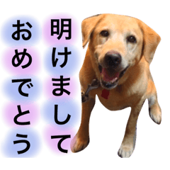 [LINEスタンプ] アンディとシズ（2018年お正月バージョン）