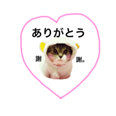 [LINEスタンプ] ぼくラムネ♡