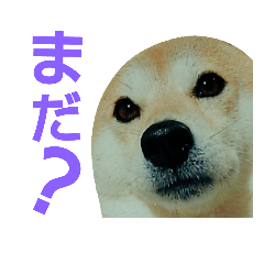 [LINEスタンプ] COCOx