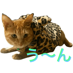 [LINEスタンプ] れもんとすだち 2