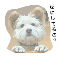 [LINEスタンプ] Haru's Life Part①