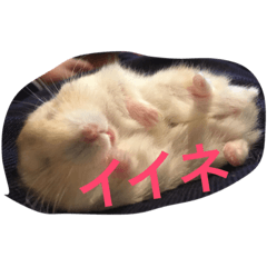 [LINEスタンプ] ハムと一緒2