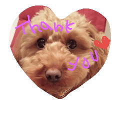 [LINEスタンプ] たじまわんこ