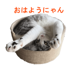 [LINEスタンプ] ベルくん③