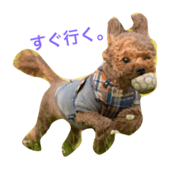 [LINEスタンプ] 毎日ココ