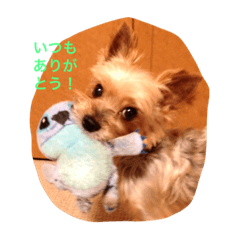 [LINEスタンプ] ブン太 の気持ち